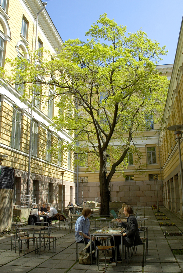 University of
Helsinki, yard